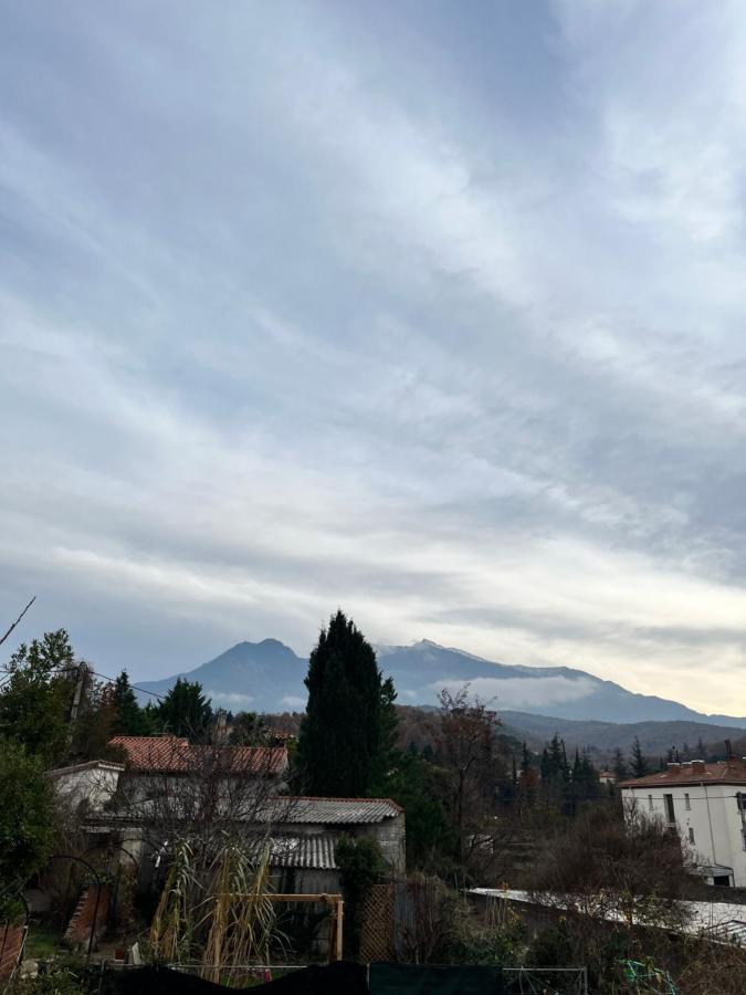 Le Cosy En Coeur De Ville Prades  Exterior foto